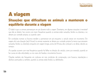 26
BoasPráticasdeManejo
TRANSPORTE
A viagem
Situações que dificultam os animais a manterem o
equilíbrio durante a viagem
O ideal é que os animais permaneçam em pé durante toda a viagem. Entretanto, em algumas situações é inevitável
que eles se deitem. Isso ocorre com maior frequência quando os animais estão cansados, feridos ou doentes, e se
deitam por vontade própria, ou quando caem.
Em condições normais os bovinos tendem a permanecer em pé enquanto o veículo estiver em movimento. Em
viagens de curta duração (até 4 horas) os animais raramente se deitam por vontade própria (a menos que estiverem
cansados, feridos ou doentes), enquanto em viagens longas, acima de 8 horas, eles começam a se deitar, devido ao
cansaço.
As quedas ocorrem com mais frequência quando há falhas na direção do veículo, como por exemplo, quando se
faz curvas em alta velocidade, ou nos casos de freadas e movimentos bruscos.
Quedas também são frequentes em rodovias em más condições de conservação, com buracos, trepidações e
declives acentuados e, também, quando os animais estão feridos ou debilitados.
 