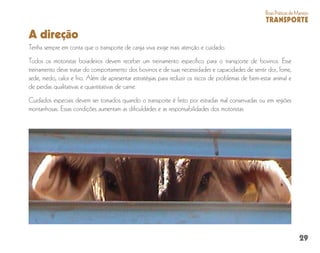 29
BoasPráticasdeManejo
TRANSPORTE
A direção
Tenha sempre em conta que o transporte de carga viva exige mais atenção e cuidado.
Todos os motoristas boiadeiros devem receber um treinamento específico para o transporte de bovinos. Esse
treinamento deve tratar do comportamento dos bovinos e de suas necessidades e capacidades de sentir dor, fome,
sede, medo, calor e frio. Além de apresentar estratégias para reduzir os riscos de problemas de bem-estar animal e
de perdas qualitativas e quantitativas de carne.
Cuidados especiais devem ser tomados quando o transporte é feito por estradas mal conservadas ou em regiões
montanhosas. Essas condições aumentam as dificuldades e as responsabilidades dos motoristas.
 