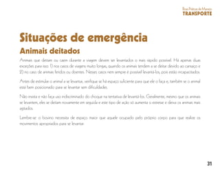 31
BoasPráticasdeManejo
TRANSPORTE
Situações de emergência
Animais deitados
Animais que deitam ou caem durante a viagem devem ser levantados o mais rápido possível. Há apenas duas
exceções para isso: 1) nos casos de viagens muito longas, quando os animais tendem a se deitar devido ao cansaço e
2) no caso de animais feridos ou doentes. Nesses casos nem sempre é possível levantá-los, pois estão incapacitados.
Antes de estimular o animal a se levantar, verifique se há espaço suficiente para que ele o faça e, também se o animal
está bem posicionado para se levantar sem dificuldades.
Não insista e não faça uso indiscriminado do choque na tentativa de levantá-los. Geralmente, mesmo que os animais
se levantem, eles se deitam novamente em seguida e este tipo de ação só aumenta o estresse e deixa os animais mais
agitados.
Lembre-se: o bovino necessita de espaço maior que aquele ocupado pelo próprio corpo para que realize os
movimentos apropriados para se levantar.
 