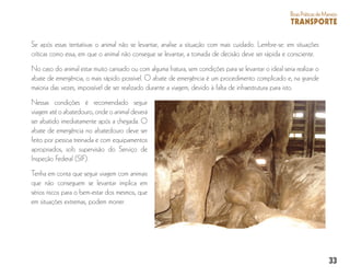 33
BoasPráticasdeManejo
TRANSPORTE
Se após essas tentativas o animal não se levantar, analise a situação com mais cuidado. Lembre-se: em situações
críticas como essa, em que o animal não consegue se levantar, a tomada de decisão deve ser rápida e consciente.
No caso do animal estar muito cansado ou com alguma fratura, sem condições para se levantar o ideal seria realizar o
abate de emergência, o mais rápido possível. O abate de emergência é um procedimento complicado e, na grande
maioria das vezes, impossível de ser realizado durante a viagem, devido à falta de infraestrutura para isto.
Nessas condições é recomendado seguir
viagem até o abatedouro, onde o animal deverá
ser abatido imediatamente após a chegada. O
abate de emergência no abatedouro deve ser
feito por pessoa treinada e com equipamentos
apropriados, sob supervisão do Serviço de
Inspeção Federal (SIF).
Tenha em conta que seguir viagem com animais
que não conseguem se levantar implica em
sérios riscos para o bem-estar dos mesmos, que
em situações extremas, podem morrer.
 