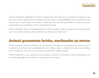 37
BoasPráticasdeManejo
TRANSPORTE
Animais extremamente debilitados não devem ser transportados. Se ainda assim o encarregado do embarque exigir
que animais nessas condições sejam embarcados, ele deve assumir as responsabilidades por essa decisão; ficando
ciente de que o animal poderá morrer durante a viagem, além dos riscos de ser pisoteado e de causar quedas nos
outros animais que compartilham o mesmo compartimento de carga.
Animais debilitados devem ser embarcados sempre no final, ocupando o último compartimento de carga. Fazendo
assim, fica mais fácil a realização dos procedimentos de embarque e desembarque.
Animais gravemente feridos, moribundos ou mortos
Animais gravemente feridos, moribundos ou mortos deveriam ser retirados do compartimento de carga logo após a
constatação do problema. Esta recomendação tem como objetivos aliviar o sofrimento dos animais com problemas
e evitar situações de risco para os outros animais, em particular de quedas e pisoteio.
Animais moribundos ou sem perspectivas de recuperação, deveriam ser submetidos a abate de emergência, com
protocolos adequados de atordoamento e abate, para evitar sofrimento.
 