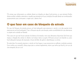 43
BoasPráticasdeManejo
TRANSPORTE
Os animais que sobreviverem ao acidente devem ser alojados em algum local próximo, os que estiverem feridos
devem receber cuidados veterinários e aqueles que estiverem em boas condições de saúde devem ser re-embarcados
posteriormente para continuarem a viagem até o destino final.
O que fazer em casos de bloqueio da estrada
Em caso de bloqueio da estrada procure um local adequado para estacionar o veículo e em dias quentes tente
estacionar em um local sombreado. Caso o bloqueio seja de curta duração, avalie a possibilidade de rotas alternativas
ou espere até a estrada ser liberada.
Nos casos em que não houver previsão da abertura da estrada e nem rotas alternativas disponíveis (de forma que
impeça a chegada dos animais no destino num tempo menor ou igual a 12 horas), procure uma fazenda ou outro
local adequado (parques de exposição e locais de leilão de gado) e desembarque os animais.
Se nada disso for possível, estacione o veículo em local seguro e que proporcione as melhores condições possíveis
(com sombra, por exemplo), ofereça água para os animais regularmente, mesmo que tenha que levá-la, com uso de
uma mangueira, de um a um.
 