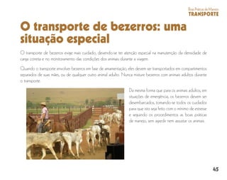 45
BoasPráticasdeManejo
TRANSPORTE
O transporte de bezerros: uma
situação especial
O transporte de bezerros exige mais cuidado, devendo-se ter atenção especial na manutenção da densidade de
carga correta e no monitoramento das condições dos animais durante a viagem.
Quando o transporte envolver bezerros em fase de amamentação, eles devem ser transportados em compartimentos
separados de suas mães, ou de qualquer outro animal adulto. Nunca misture bezerros com animais adultos durante
o transporte.
Da mesma forma que para os animais adultos, em
situações de emergência, os bezerros devem ser
desembarcados, tomando-se todos os cuidados
para que isto seja feito com o mínimo de estresse
e seguindo os procedimentos as boas práticas
de manejo, sem agredir nem assustar os animais.
 