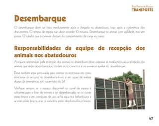 47
BoasPráticasdeManejo
TRANSPORTE
Desembarque
O desembarque deve ser feito imediatamente após a chegada no abatedouro, logo após a conferência dos
documentos. O tempo de espera não deve exceder 10 minutos. Desembarque os animais com agilidade, mas sem
pressa. O ideal é que os animais desçam do compartimento de carga ao passo.
Responsabilidades da equipe de recepção dos
animais nos abatedouros
A equipe responsável pela recepção dos animais no abatedouro deve: preparar as instalações para a recepção dos
animais que serão desembarcados, conferir os documentos e os animais e auxiliar no desembarque.
Deve também estar preparada para orientar os motoristas em como
estacionar os veículos no desembarcadouro e ser capaz de realizar
abates de emergência, sob supervisão do SIF.
Verifique sempre: se o espaço disponível no curral de espera é
suficiente para o lote de animais a ser desembarcado, se os currais
estão limpos e em condições de uso, se há água nos bebedouros e
se estes estão limpos, e se os caminhos estão desobstruídos e limpos.
 