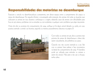 48
BoasPráticasdeManejo
TRANSPORTE
Responsabilidades dos motoristas no desembarque
Estacione o veículo no desembarcadouro corretamente, sem deixar espaço entre o compartimento de carga e a
rampa de desembarque. Em seguida informe o encarregado pela recepção dos animais de todas as situações que
colocaram os animais em risco durante o embarque e a viagem, relatando casos de animais com dificuldades para
ficar em pé, atrasos, problemas com as estradas ou com acidentes e qualquer outro problema que julgar importante.
Antes de abrir as porteiras do compartimento de carga, verifique se há algum animal deitado ou caído, em caso
positivo estimule o animal a se levantar, seguindo os mesmos procedimentos descritos na página 31.
Com todos os animais em pé, abra a porteira mais
próxima da rampa de desembarque e deixe eles
saírem naturalmente, de preferência ao passo.
Quando isto não ocorrer estimule-os a sair, fale
com os animais, bata palmas e faça movimentos
na lateral do compartimento de carga. A bandeira
pode ser utilizada para estimular os animais a
saírem do veículo. Não grite e não use o choque,
tenha calma.
 