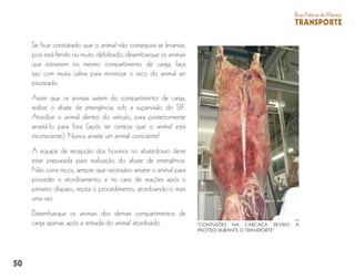 50
BoasPráticasdeManejo
TRANSPORTE
Se ficar constatado que o animal não conseguirá se levantar,
pois está ferido ou muito debilitado, desembarque os animais
que estiverem no mesmo compartimento de carga, faça
isso com muita calma para minimizar o risco do animal ser
pisoteado.
Assim que os animais saírem do compartimento de carga,
realize o abate de emergência, sob a supervisão do SIF.
Atordoe o animal dentro do veículo, para posteriormente
arrastá-lo para fora (após ter certeza que o animal está
inconsciente). Nunca arraste um animal consciente!
A equipe de recepção dos bovinos no abatedouro deve
estar preparada para realização do abate de emergência.
Não corra riscos, sempre que necessário amarre o animal para
proceder o atordoamento, e no caso de reações após o
primeiro disparo, repita o procedimento, atordoando-o mais
uma vez.
Desembarque os animais dos demais compartimentos de
carga apenas após a retirada do animal atordoado. “CONTUSÕES NA CARCAÇA DEVIDO A
PISOTEIO DURANTE O TRANSPORTE”
 