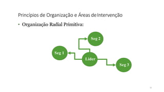 Princípios de Organização e Áreas deIntervenção
12
• Organização Radial Primitiva:
Seg 2
Seg 1
Líder
Seg 3
 