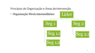 Princípios de Organização e Áreas deIntervenção
13
• Organização Níveis intermediários: Líder
Seg 1
Seg 1.1
Seg 1.2
Seg 2
Seg 2.1
 