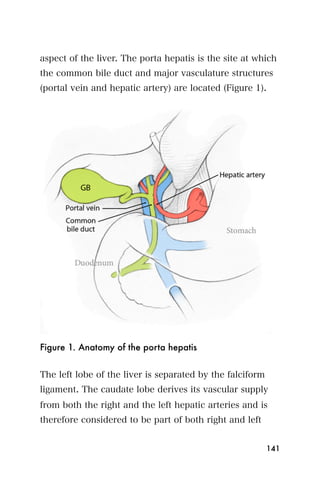 aspect of the liver. The porta hepatis is the site at which
the common bile duct and major vasculature structures
(portal vein and hepatic artery) are located (Figure 1).




Figure 1. Anatomy of the porta hepatis


The left lobe of the liver is separated by the falciform
ligament. The caudate lobe derives its vascular supply
from both the right and the left hepatic arteries and is
therefore considered to be part of both right and left


                                                           141
 