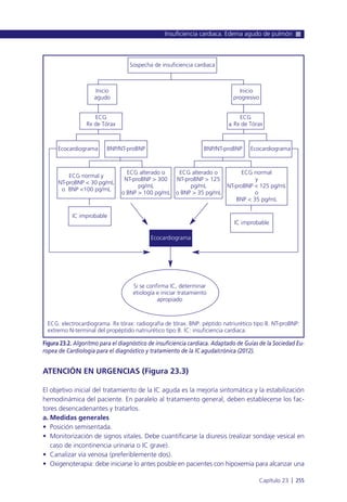 ATENCIÓN EN URGENCIAS (Figura 23.3)
El objetivo inicial del tratamiento de la IC aguda es la mejoría sintomática y la estabilización
hemodinámica del paciente. En paralelo al tratamiento general, deben establecerse los fac-
tores desencadenantes y tratarlos.
a. Medidas generales
• Posición semisentada.
• Monitorización de signos vitales. Debe cuantificarse la diuresis (realizar sondaje vesical en
caso de incontinencia urinaria o IC grave).
• Canalizar vía venosa (preferiblemente dos).
• Oxigenoterapia: debe iniciarse lo antes posible en pacientes con hipoxemia para alcanzar una
Insuficiencia cardiaca. Edema agudo de pulmón
Capítulo 23 l 255
Figura 23.2. Algoritmo para el diagnóstico de insuficiencia cardiaca. Adaptado de Guías de la Sociedad Eu-
ropea de Cardiología para el diagnóstico y tratamiento de la IC aguda/crónica (2012).
Sospecha de insuficiencia cardiaca
IC improbable
IC improbable
Ecocardiograma
ECG: electrocardiograma. Rx tórax: radiografía de tórax. BNP: péptido natriurético tipo B. NT-proBNP:
extremo N-terminal del propéptido natriurético tipo B. IC: insuficiencia cardiaca.
Si se confirma IC, determinar
etiología e iniciar tratamiento
apropiado
Inicio
agudo
ECG
Rx de Tórax
ECG
± Rx de Tórax
Inicio
progresivo
BNP/NT-proBNP BNP/NT-proBNP
ECG normal
y
NT-proBNP < 125 pg/mL
o
BNP < 35 pg/mL
ECG alterado o
NT-proBNP > 125
pg/mL
o BNP > 35 pg/mL
ECG alterado o
NT-proBNP > 300
pg/mL
o BNP > 100 pg/mL
ECG normal y
NT-proBNP < 30 pg/mL
o BNP <100 pg/mL
Ecocardiograma Ecocardiograma
 