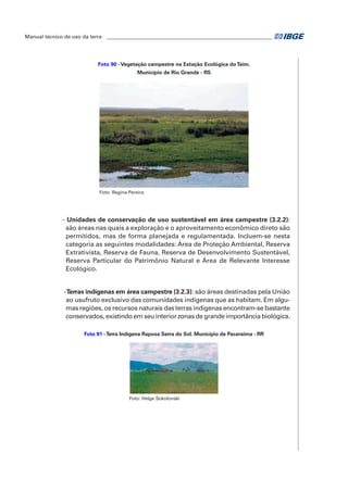 Manual técnico de uso da terra ________________________________________________________________ 
Foto 90 - Vegetação campestre na Estação Ecológica do Taim. 
Município de Rio Grande - RS 
Foto: Regina Pereira 
- Unidades de conservação de uso sustentável em área campestre (3.2.2): 
são áreas nas quais a exploração e o aproveitamento econômico direto são 
permitidos, mas de forma planejada e regulamentada. Incluem-se nesta 
categoria as seguintes modalidades: Área de Proteção Ambiental, Reserva 
Extrativista, Reserva de Fauna, Reserva de Desenvolvimento Sustentável, 
Reserva Particular do Patrimônio Natural e Área de Relevante Interesse 
Ecológico. 
- Terras indígenas em área campestre (3.2.3): são áreas destinadas pela União 
ao usufruto exclusivo das comunidades indígenas que as habitam. Em algu-mas 
regiões, os recursos naturais das terras indígenas encontram-se bastante 
conservados, existindo em seu interior zonas de grande importância biológica. 
Foto 91 - Terra Indígena Raposa Serra do Sol. Município de Pacaraima - RR 
Foto: Helge Sokolonski 
 