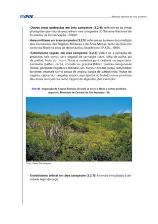 �Manual técnico de uso da terra 
- Outras áreas protegidas em área campestre (3.2.4): referem-se às áreas 
protegidas que não se enquadram nas categorias do Sistema Nacional de 
Unidades de Conservação - SNUC. 
- Áreas militares em área campestre (3.2.5): referem-se às áreas de jurisdição 
dos Comandos das Regiões Militares e de Área Militar, tanto do Exército 
como da Marinha e/ou da Aeronáutica, brasileiros (BRASIL, 1999). 
- Extrativismo vegetal em área campestre (3.2.6): refere-se à extração de 
produtos, tais como: cera vegetal da carnaúba (cera, olho de palha, pó 
de palha); fruto do licuri; fibras e materiais para cestaria ou espartaria: 
carnaúba (palha), caroá, coroatá ou gravatá (fibra); plantas oleoginosas 
(óleos, gorduras vegetais e resinas), uri, ouricuri (coco), pequi (amêndoa); 
tanantes vegetais como casca de angico, casca de barbatimão; frutas da 
cagaita, cajarana, mangaba, murici, equi (polpa do fruto); outros produtos 
das áreas campestres como vagem de algaroba, por exemplo. 
Foto 92 - Vegetação de Savana Estépica de onde se extrai a lenha e outros produtos 
regionais. Município de Canindé do São Francisco - SE 
Foto: Eloisa Domingues 
- Extrativismo animal em área campestre (3.2.7): Animais vinculados à ati-vidade 
legal de caça. 
 