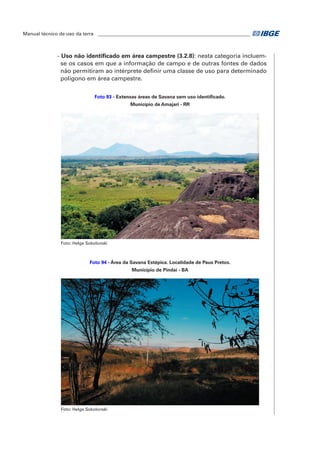 Manual técnico de uso da terra ________________________________________________________________ 
- Uso não identificado em área campestre (3.2.8): nesta categoria incluem-se 
os casos em que a informação de campo e de outras fontes de dados 
não permitiram ao intérprete definir uma classe de uso para determinado 
polígono em área campestre. 
Foto 93 - Extensas áreas de Savana sem uso identificado. 
Município de Amajari - RR 
Foto: Helge Sokolonski 
Foto 94 - Área da Savana Estépica. Localidade de Paus Pretos. 
Município de Pindaí - BA 
Foto: Helge Sokolonski 
 