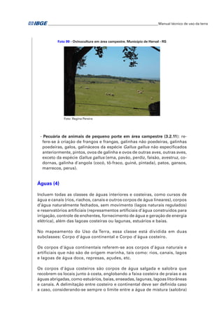 �Manual técnico de uso da terra 
Foto 99 - Ovinocultura em área campestre. Município de Herval - RS 
Foto: Regina Pereira 
- Pecuária de animais de pequeno porte em área campestre (3.2.11): re-fere- 
se à criação de frangos e frangas, galinhas não poedeiras, galinhas 
poedeiras, galos, galináceos da espécie Gallus gallus não especificados 
anteriormente, pintos, ovos de galinha e ovos de outras aves, outras aves, 
exceto da espécie Gallus gallus (ema, pavão, perdiz, faisão, avestruz, co-dornas, 
galinha d'angola (cocó, tô-fraco, guiné, pintada), patos, gansos, 
marrecos, perus). 
Águas (4) 
Incluem todas as classes de águas interiores e costeiras, como cursos de 
água e canais (rios, riachos, canais e outros corpos de água lineares), corpos 
d’água naturalmente fechados, sem movimento (lagos naturais regulados) 
e reservatórios artificiais (represamentos artificiais d’água construídos para 
irrigação, controle de enchentes, fornecimento de água e geração de energia 
elétrica), além das lagoas costeiras ou lagunas, estuários e baías. 
No mapeamento do Uso da Terra, essa classe está dividida em duas 
subclasses: Corpo d'água continental e Corpo d'água costeiro. 
Os corpos d'água continentais referem-se aos corpos d’água naturais e 
artificiais que não são de origem marinha, tais como: rios, canais, lagos 
e lagoas de água doce, represas, açudes, etc. 
Os corpos d'água costeiros são corpos de água salgada e salobra que 
recobrem os locais junto à costa, englobando a faixa costeira de praias e as 
águas abrigadas, como estuários, baías, enseadas, lagunas, lagoas litorâneas 
e canais. A delimitação entre costeiro e continental deve ser definida caso 
a caso, considerando-se sempre o limite entre a água de mistura (salobra) 
 