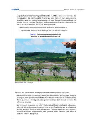 �Manual técnico de uso da terra 
- Aquicultura em corpo d’água continental (4.1.12): a atividade consiste da 
introdução e da manipulação de energia pelo homem num ecossistema 
aquático, visando obter maior taxa de extração das espécies aquáticas, no 
menor tempo possível. Também pode apresentar sistemas diferenciados 
de exploração. Quanto aos tipos, distinguem-se: 
- Maricultura: cultivo comercial de moluscos e crustáceos; e 
- Piscicultura: multiplicação e criação de peixes em cativeiro. 
Foto 112 - Carcinicultura na localidade de Aratu. 
Município de Nossa Senhora do Socorro - SE 
Foto: Ronaldo do N. Gonçalves 
Quanto aos sistemas de manejo podem ser desenvolvidos de forma: 
- extensiva: quando se considera o simples povoamento de um corpo de água 
qualquer, sem que sejam adotadas medidas de controle das características 
físico-químicas e biológicas, os organismos dependem exclusivamente do 
alimento natural; 
- semi-intensiva: quando a produtividade natural é estimulada pela adubação, 
além de alimentos suplementares como grãos, farelos, tortas, farinhas para 
prover a maior densidade de estocagem. Pode ser realizada em tanques, 
viveiros e demais reservatórios, nos quais se tenha controle total sobre a 
entrada e saída de água; e 
 