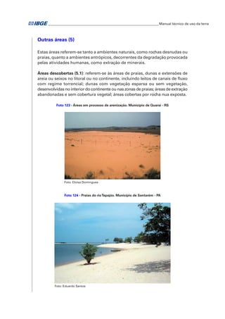 �Manual técnico de uso da terra 
Outras áreas (5) 
Estas áreas referem-se tanto a ambientes naturais, como rochas desnudas ou 
praias, quanto a ambientes antrópicos, decorrentes da degradação provocada 
pelas atividades humanas, como extração de minerais. 
Áreas descobertas (5.1): referem-se às áreas de praias, dunas e extensões de 
areia ou seixos no litoral ou no continente, incluindo leitos de canais de fluxo 
com regime torrencial; dunas com vegetação esparsa ou sem vegetação, 
desenvolvidas no interior do continente ou nas zonas de praias; áreas de extração 
abandonadas e sem cobertura vegetal; áreas cobertas por rocha nua exposta. 
Foto 123 - Áreas em processo de arenização. Município de Quaraí - RS 
Foto: Eloisa Domingues 
Foto 124 - Praias do rio Tapajós. Município de Santarém - PA 
Foto: Eduardo Santos 
 