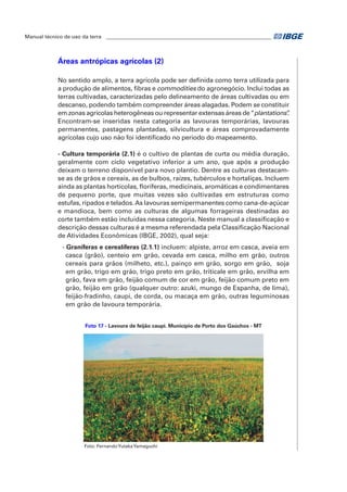 Manual técnico de uso da terra ________________________________________________________________ 
Áreas antrópicas agrícolas (2) 
No sentido amplo, a terra agrícola pode ser definida como terra utilizada para 
a produção de alimentos, fibras e commodities do agronegócio. Inclui todas as 
terras cultivadas, caracterizadas pelo delineamento de áreas cultivadas ou em 
descanso, podendo também compreender áreas alagadas. Podem se constituir 
em zonas agrícolas heterogêneas ou representar extensas áreas de “plantations”. 
Encontram-se inseridas nesta categoria as lavouras temporárias, lavouras 
permanentes, pastagens plantadas, silvicultura e áreas comprovadamente 
agrícolas cujo uso não foi identificado no período do mapeamento. 
- Cultura temporária (2.1) é o cultivo de plantas de curta ou média duração, 
geralmente com ciclo vegetativo inferior a um ano, que após a produção 
deixam o terreno disponível para novo plantio. Dentre as culturas destacam-se 
as de grãos e cereais, as de bulbos, raízes, tubérculos e hortaliças. Incluem 
ainda as plantas hortícolas, floríferas, medicinais, aromáticas e condimentares 
de pequeno porte, que muitas vezes são cultivadas em estruturas como 
estufas, ripados e telados. As lavouras semipermanentes como cana-de-açúcar 
e mandioca, bem como as culturas de algumas forrageiras destinadas ao 
corte também estão incluídas nessa categoria. Neste manual a classificação e 
descrição dessas culturas é a mesma referendada pela Classificação Nacional 
de Atividades Econômicas (IBGE, 2002), qual seja: 
- Graníferas e cerealíferas (2.1.1) incluem: alpiste, arroz em casca, aveia em 
casca (grão), centeio em grão, cevada em casca, milho em grão, outros 
cereais para grãos (milheto, etc.), painço em grão, sorgo em grão, soja 
em grão, trigo em grão, trigo preto em grão, triticale em grão, ervilha em 
grão, fava em grão, feijão comum de cor em grão, feijão comum preto em 
grão, feijão em grão (qualquer outro: azuki, mungo de Espanha, de lima), 
feijão-fradinho, caupi, de corda, ou macaça em grão, outras leguminosas 
em grão de lavoura temporária. 
Foto 17 - Lavoura de feijão caupi. Município de Porto dos Gaúchos - MT 
Foto: Fernando Yutaka Yamaguchi 
 