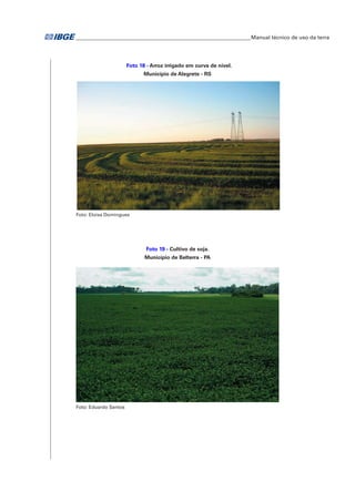 �Manual técnico de uso da terra 
Foto 18 - Arroz irrigado em curva de nível. 
Município de Alegrete - RS 
Foto: Eloisa Domingues 
Foto 19 - Cultivo de soja. 
Município de Belterra - PA 
Foto: Eduardo Santos 
 