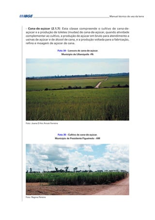 �Manual técnico de uso da terra 
- Cana-de-açúcar (2.1.7): Esta classe compreende o cultivo de cana-de-açúcar 
e a produção de toletes (mudas) de cana-de-açúcar, quando atividade 
complementar ao cultivo, a produção de açúcar em bruto para atendimento a 
usinas de açúcar e de álcool de cana, e a produção voltada para a fabricação, 
refino e moagem de açúcar de cana. 
Foto 34 - Lavoura de cana-de-açúcar. 
Município de Ulianópolis -PA 
Foto: Joana D'Arc Arouk Ferreira 
Foto 35 - Cultivo de cana-de-açúcar. 
Município de Presidente Figueiredo - AM 
Foto: Regina Pereira 
 
