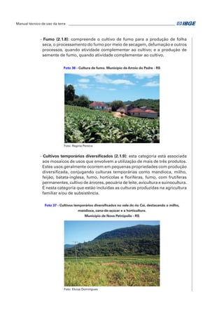 Manual técnico de uso da terra ________________________________________________________________ 
- Fumo (2.1.8): compreende o cultivo de fumo para a produção de folha 
seca, o processamento do fumo por meio de secagem, defumação e outros 
processos, quando atividade complementar ao cultivo; e a produção de 
semente de fumo, quando atividade complementar ao cultivo. 
Foto 36 - Cultura de fumo. Município de Arroio do Padre - RS 
Foto: Regina Pereira 
- Cultivos temporários diversificados (2.1.9): esta categoria está associada 
aos mosaicos de usos que envolvem a utilização de mais de três produtos. 
Estes usos geralmente ocorrem em pequenas propriedades com produção 
diversificada, conjugando culturas temporárias como mandioca, milho, 
feijão, batata-inglesa, fumo, hortícolas e floríferas, fumo, com frutíferas 
permanentes, cultivo de árvores, pecuária de leite, avicultura e suinocultura. 
É nesta categoria que estão incluídas as culturas produzidas na agricultura 
familiar e/ou de subsistência. 
Foto 37 - Cultivos temporários diversificados no vale do rio Caí, destacando o milho, 
mandioca, cana-de-açúcar e a horticultura. 
Município de Nova Petrópolis - RS 
Foto: Eloisa Domingues 
 