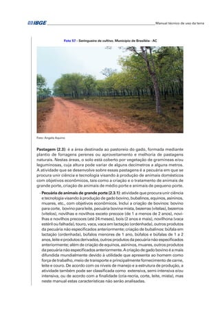 �Manual técnico de uso da terra 
Foto 57 - Seringueira de cultivo. Município de Brasiléia - AC 
Foto: Angela Aquino 
Pastagem (2.3): é a área destinada ao pastoreio do gado, formada mediante 
plantio de forragens perenes ou aproveitamento e melhoria de pastagens 
naturais. Nestas áreas, o solo está coberto por vegetação de gramíneas e/ou 
leguminosas, cuja altura pode variar de alguns decímetros a alguns metros. 
A atividade que se desenvolve sobre essas pastagens é a pecuária em que se 
procura unir ciência e tecnologia visando à produção de animais domésticos 
com objetivos econômicos, tais como a criação e o tratamento de animais de 
grande porte, criação de animais de médio porte e animais de pequeno porte. 
- Pecuária de animais de grande porte (2.3.1): atividade que procura unir ciência 
e tecnologia visando à produção de gado bovino, bubalinos, equinos, asininos, 
muares, etc., com objetivos econômicos. Inclui a criação de bovinos: bovino 
para corte, bovino para leite, pecuária bovina mista, bezerras (vitelas), bezerros 
(vitelos), novilhas e novilhos exceto precoce (de 1 a menos de 2 anos), novi-lhas 
e novilhos precoces (até 24 meses), bois (2 anos e mais), novilhona (vaca 
estéril ou falhada), touro, vaca, vaca em lactação (ordenhada), outros produtos 
da pecuária não especificados anteriormente; criação de bubalinos: búfala em 
lactação (ordenhada), búfalos menores de 1 ano, búfalos e búfalas de 1 a 2 
anos, leite e produtos derivados, outros produtos da pecuária não especificados 
anteriormente; além de criação de equinos, asininos, muares, outros produtos 
da pecuária não especificados anteriormente. A criação de gado bovino é a mais 
difundida mundialmente devido à utilidade que apresenta ao homem como 
força de trabalho, meio de transporte e principalmente fornecimento de carne, 
leite e couro. De acordo com os níveis de manejo e a estrutura de produção, a 
atividade também pode ser classificada como extensiva, semi-intensiva e/ou 
intensiva, ou de acordo com a finalidade (cria-recria, corte, leite, mista), mas 
neste manual estas características não serão analisadas. 
 