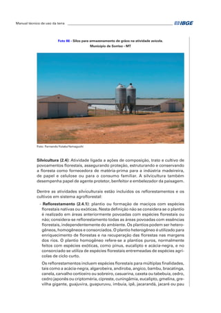 Manual técnico de uso da terra ________________________________________________________________ 
Foto 66 - Silos para armazenamento de grãos na atividade avícola. 
Município de Sorriso - MT 
Foto: Fernando Yutaka Yamaguchi 
Silvicultura (2.4): Atividade ligada a ações de composição, trato e cultivo de 
povoamentos florestais, assegurando proteção, estruturando e conservando 
a floresta como fornecedora de matéria-prima para a indústria madeireira, 
de papel e celulose ou para o consumo familiar. A silvicultura também 
desempenha papel de agente protetor, benfeitor e embelezador da paisagem. 
Dentre as atividades silviculturais estão incluídos os reflorestamentos e os 
cultivos em sistema agroflorestal: 
- Reflorestamento (2.4.1): plantio ou formação de maciços com espécies 
florestais nativas ou exóticas. Nesta definição não se considera se o plantio 
é realizado em áreas anteriormente povoadas com espécies florestais ou 
não; considera-se reflorestamento todas as áreas povoadas com essências 
florestais, independentemente do ambiente. Os plantios podem ser hetero-gêneos, 
homogêneos e consorciados. O plantio heterogêneo é utilizado para 
enriquecimento de florestas e na recuperação das florestas nas margens 
dos rios. O plantio homogêneo refere-se a plantios puros, normalmente 
feitos com espécies exóticas, como pínus, eucalipto e acácia-negra, e no 
consorciado se utiliza de espécies florestais entremeadas de espécies agrí-colas 
de ciclo curto. 
Os reflorestamentos incluem espécies florestais para múltiplas finalidades, 
tais como a acácia-negra, algarobeira, andiroba, angico, bambu, bracatinga, 
canela, carvalho corticeiro ou sobreiro, casuarina, caxeta ou tabebuia, cedro, 
cedro japonês ou criptoméria, cipreste, cuningâmia, eucalipto, gmelina, gre-vilha 
gigante, guajuvira, guapuruvu, imbuia, ipê, jacarandá, jacaré ou pau 
 