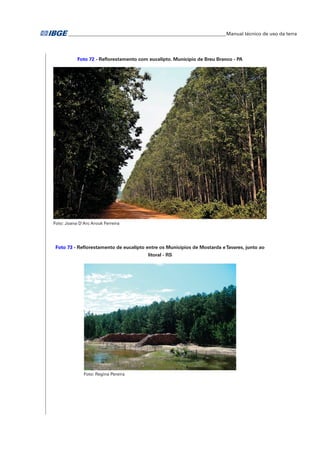 �Manual técnico de uso da terra 
Foto 72 - Reflorestamento com eucalipto. Município de Breu Branco - PA 
Foto: Joana D'Arc Arouk Ferreira 
Foto 73 - Reflorestamento de eucalipto entre os municípios de Mostarda e Tavares, junto ao 
litoral - RS 
Foto: Regina Pereira 
 