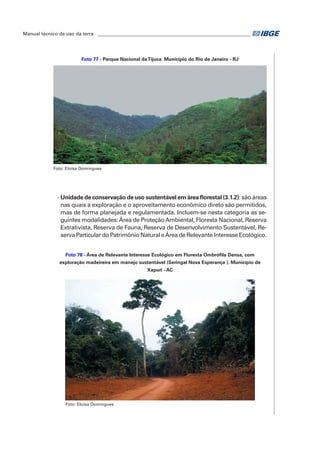 Manual técnico de uso da terra ________________________________________________________________ 
Foto 77 - Parque Nacional da Tijuca. Município do Rio de Janeiro - RJ 
Foto: Eloisa Domingues 
- Unidade de conservação de uso sustentável em área florestal (3.1.2): são áreas 
nas quais a exploração e o aproveitamento econômico direto são permitidos, 
mas de forma planejada e regulamentada. Incluem-se nesta categoria as se-guintes 
modalidades: Área de Proteção Ambiental, Floresta Nacional, Reserva 
Extrativista, Reserva de Fauna, Reserva de Desenvolvimento Sustentável, Re-serva 
Particular do Patrimônio Natural e Área de Relevante Interesse Ecológico. 
Foto 78 - Área de Relevante Interesse Ecológico em Floresta Ombrófila Densa, com 
exploração madeireira em manejo sustentável (Seringal Nova Esperança ). Município de 
Xapuri - AC 
Foto: Eloisa Domingues 
 