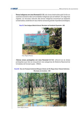�Manual técnico de uso da terra 
- Terras indígenas em área florestal (3.1.3): são áreas destinadas pela União ao 
usufruto exclusivo das comunidades indígenas que as habitam. Em algumas 
regiões, os recursos naturais das terras indígenas encontram-se bastante 
conservados, existindo em seu interior zonas de grande importância biológica. 
Foto 79 - Terra Indígena Waimiri-Atroari. Município de Presidente Figueiredo - AM 
Foto: Regina Pereira 
- Outras áreas protegidas em área florestal (3.1.4): referem-se às áreas 
protegidas que não se enquadram nas categorias do Sistema Nacional de 
Unidades de Conservação - SNUC. 
Foto 80 - Área de Proteção Ambiental Margem Direita do Rio Negro-Setor Paduari-Solimões. 
Município de Iranduba - AM 
Foto: Regina Pereira 
 