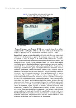 Manual técnico de uso da terra ________________________________________________________________ 
Foto 81 - Parque Municipal do Urubuí na APA do Urubuí. 
Município de Presidente Figueiredo - AM 
Foto: Sonia Gomes 
- Áreas militares em área florestal (3.1.5): referem-se às áreas de jurisdição 
dos Comandos das Regiões Militares e de Áreas Militares, tanto do Exército 
como da Marinha e/ou da Aeronáutica, brasileiros (BRASIL, 1999). 
- Extrativismo vegetal em área florestal (3.1.6): Exploração dos recursos vegetais 
nativos, através da coleta ou apanha de produtos, que permite a produção 
sustentada ao longo do tempo, ou de modo primitivo e itinerante. Os produ-tos 
de extrativismo vegetal, segundo as suas formas de aproveitamento, são 
classificados em grupos: gomas elásticas (Hévia s.p., caucho, mangabeira, 
maniçoba); gomas não elásticas (balata, maçaranduba, sorva); ceras (ouricuri, 
carnaúba); fibras (bambu, piaçava, butiá, licuri, etc.); plantas oleaginosas da 
exploração florestal (óleos, gorduras vegetais e resinas) tais como: andiroba 
(semente oleaginosa), babaçu (amêndoa), babaçu (coco), copaíba (óleo ou 
bálsamo), cumaru ou fava-de-tonca (semente), auricuri ou uricuri (coquilho), 
murumuru (semente oleaginosa), outros óleos, gorduras vegetais ou resinas 
da exploração florestal, não especificados anteriormente, tucum (coco), ucuúba 
(amêndoa); produtos aromáticos, medicinais, tóxicos e corantes da exploração 
florestal, tais como canjerana (raiz), cipó timpó ou timbó, ipecacuanha ou poaia 
(raiz), jaborandi (folha), jatobá ou jataí (casca), juá, outros produtos aromáti-cos, 
medicinais, tóxicos ou corantes da exploração florestal; tanantes vegetais 
(outras cascas taníferas); frutos da exploração florestal, abiu ou caimito (fruto), 
abricó (fruto), bacuri, cagaita, cajarana ou taperebá, taperebá, cambucá, casta-nha- 
do-pará, chichá ou xixá, fruta-pão, imbu ou umbu, jacaratiá, murumuru, 
oiti, pinhão (fruto da araucária), pitomba, outras frutas da exploração florestal; 
outros produtos da exploração florestal não especificados anteriormente como 
bacaba (cariço), buriti (coco), butiá (coco), macaúba, coco-catarro ou coco-babão 
(semente oleoginosa), piaçaba (coquilho), pupunha (coco); incluem-se ainda 
produtos alimentícios; produtos aromáticos, e madeiras. 
 