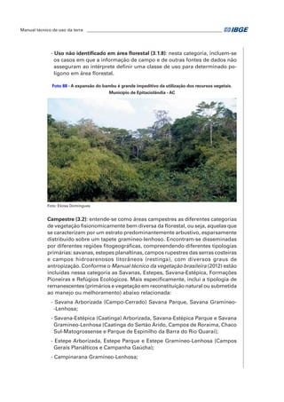 Manual técnico de uso da terra ________________________________________________________________ 
- Uso não identificado em área florestal (3.1.8): nesta categoria, incluem-se 
os casos em que a informação de campo e de outras fontes de dados não 
asseguram ao intérprete definir uma classe de uso para determinado po-lígono 
em área florestal. 
Foto 88 - A expansão do bambu é grande impeditivo da utilização dos recursos vegetais. 
Município de Epitaciolândia - AC 
Foto: Eloisa Domingues 
Campestre (3.2): entende-se como áreas campestres as diferentes categorias 
de vegetação fisionomicamente bem diversa da florestal, ou seja, aquelas que 
se caracterizam por um estrato predominantemente arbustivo, esparsamente 
distribuído sobre um tapete gramíneo-lenhoso. Encontram-se disseminadas 
por diferentes regiões fitogeográficas, compreendendo diferentes tipologias 
primárias: savanas, estepes planaltinas, campos rupestres das serras costeiras 
e campos hidroarenosos litorâneos (restinga), com diversos graus de 
antropização. Conforme o Manual técnico da vegetação brasileira (2012) estão 
incluídas nessa categoria as Savanas, Estepes, Savana-Estépica, Formações 
Pioneiras e Refúgios Ecológicos. Mais especificamente, inclui a tipologia de 
remanescentes (primários e vegetação em reconstituição natural ou submetida 
ao manejo ou melhoramento) abaixo relacionada: 
- Savana Arborizada (Campo-Cerrado) Savana Parque, Savana Gramíneo- 
-Lenhosa; 
- Savana-Estépica (Caatinga) Arborizada, Savana-Estépica Parque e Savana 
Gramíneo-Lenhosa (Caatinga do Sertão Árido, Campos de Roraima, Chaco 
Sul-Matogrossense e Parque de Espinilho da Barra do Rio Quaraí); 
- Estepe Arborizada, Estepe Parque e Estepe Gramíneo-Lenhosa (Campos 
Gerais Planálticos e Campanha Gaúcha); 
- Campinarana Gramíneo-Lenhosa; 
 