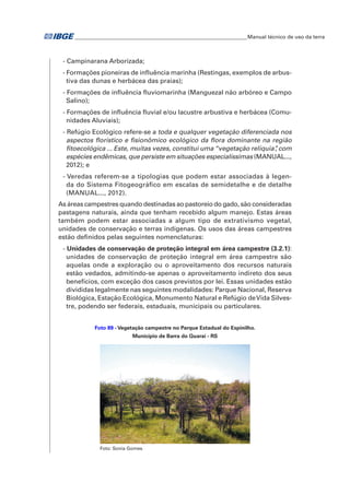 �Manual técnico de uso da terra 
- Campinarana Arborizada; 
- Formações pioneiras de influência marinha (Restingas, exemplos de arbus-tiva 
das dunas e herbácea das praias); 
- Formações de influência fluviomarinha (Manguezal não arbóreo e Campo 
Salino); 
- Formações de influência fluvial e/ou lacustre arbustiva e herbácea (Comu-nidades 
Aluviais); 
- Refúgio Ecológico refere-se a toda e qualquer vegetação diferenciada nos 
aspectos florístico e fisionômico ecológico da flora dominante na região 
fitoecológica ... Este, muitas vezes, constitui uma “vegetação relíquia”, com 
espécies endêmicas, que persiste em situações especialíssimas (MANUAL..., 
2012); e 
- Veredas referem-se a tipologias que podem estar associadas à legen-da 
do Sistema Fitogeográfico em escalas de semidetalhe e de detalhe 
(MANUAL..., 2012). 
As áreas campestres quando destinadas ao pastoreio do gado, são consideradas 
pastagens naturais, ainda que tenham recebido algum manejo. Estas áreas 
também podem estar associadas a algum tipo de extrativismo vegetal, 
unidades de conservação e terras indígenas. Os usos das áreas campestres 
estão definidos pelas seguintes nomenclaturas: 
- Unidades de conservação de proteção integral em área campestre (3.2.1): 
unidades de conservação de proteção integral em área campestre são 
aquelas onde a exploração ou o aproveitamento dos recursos naturais 
estão vedados, admitindo-se apenas o aproveitamento indireto dos seus 
benefícios, com exceção dos casos previstos por lei. Essas unidades estão 
divididas legalmente nas seguintes modalidades: Parque Nacional, Reserva 
Biológica, Estação Ecológica, Monumento Natural e Refúgio de Vida Silves-tre, 
podendo ser federais, estaduais, municipais ou particulares. 
Foto 89 - Vegetação campestre no Parque Estadual do Espinilho. 
Município de Barra do Quaraí - RS 
Foto: Sonia Gomes 
 