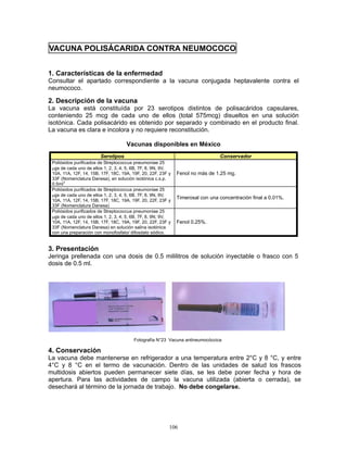 106
VACUNA POLISÁCARIDA CONTRA NEUMOCOCO
1. Características de la enfermedad
Consultar el apartado correspondiente a la vacuna conjugada heptavalente contra el
neumococo.
2. Descripción de la vacuna
La vacuna está constituída por 23 serotipos distintos de polisacáridos capsulares,
conteniendo 25 mcg de cada uno de ellos (total 575mcg) disueltos en una solución
isotónica. Cada polisacárido es obtenido por separado y combinado en el producto final.
La vacuna es clara e incolora y no requiere reconstitución.
Vacunas disponibles en México
Serotipos Conservador
Poliósidos purificados de Streptococcus pneumoniae 25
μgs de cada uno de ellos 1, 2, 3, 4, 5, 6B, 7F, 8, 9N, 9V,
10A, 11A, 12F, 14, 15B, 17F, 18C, 19A, 19F, 20, 22F, 23F y
33F (Nomenclatura Danesa), en solución isotónica c.s.p.
0.5ml
2
Fenol no más de 1.25 mg.
Poliósidos purificados de Streptococcus pneumoniae 25
μgs de cada uno de ellos 1, 2, 3, 4, 5, 6B, 7F, 8, 9N, 9V,
10A, 11A, 12F, 14, 15B, 17F, 18C, 19A, 19F, 20, 22F, 23F y
33F (Nomenclatura Danesa)
Timerosal con una concentración final a 0.01%.
Poliósidos purificados de Streptococcus pneumoniae 25
μgs de cada uno de ellos 1, 2, 3, 4, 5, 6B, 7F, 8, 9N, 9V,
10A, 11A, 12F, 14, 15B, 17F, 18C, 19A, 19F, 20, 22F, 23F y
33F (Nomenclatura Danesa) en solución salina isotónica
con una preparación con monofosfato/ difosdato sódico.
Fenol 0.25%.
3. Presentación
Jeringa prellenada con una dosis de 0.5 mililitros de solución inyectable o frasco con 5
dosis de 0.5 ml.
4. Conservación
La vacuna debe mantenerse en refrigerador a una temperatura entre 2°C y 8 °C, y entre
4°C y 8 °C en el termo de vacunación. Dentro de las unidades de salud los frascos
multidosis abiertos pueden permanecer siete días, se les debe poner fecha y hora de
apertura. Para las actividades de campo la vacuna utilizada (abierta o cerrada), se
desechará al término de la jornada de trabajo. No debe congelarse.
Fotografía N°23 Vacuna antineumocóccica
 