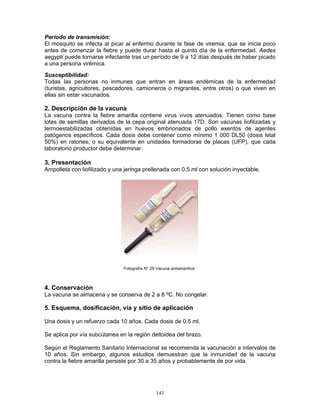 143
Período de transmisión:
El mosquito se infecta al picar al enfermo durante la fase de viremia, que se inicia poco
antes de comenzar la fiebre y puede durar hasta el quinto día de la enfermedad. Aedes
aegypti puede tornarse infectante tras un período de 9 a 12 días después de haber picado
a una persona virémica.
Susceptibilidad:
Todas las personas no inmunes que entran en áreas endémicas de la enfermedad
(turistas, agricultores, pescadores, camioneros o migrantes, entre otros) o que viven en
ellas sin estar vacunados.
2. Descripción de la vacuna
La vacuna contra la fiebre amarilla contiene virus vivos atenuados. Tienen como base
lotes de semillas derivados de la cepa original atenuada 17D. Son vacunas liofilizadas y
termoestabilizadas obtenidas en huevos embrionados de pollo exentos de agentes
patógenos específicos. Cada dosis debe contener como mínimo 1 000 DL50 (dosis letal
50%) en ratones, o su equivalente en unidades formadoras de placas (UFP), que cada
laboratorio productor debe determinar.
3. Presentación
Ampolleta con liofilizado y una jeringa prellenada con 0.5 ml con solución inyectable.
4. Conservación
La vacuna se almacena y se conserva de 2 a 8 ºC. No congelar.
5. Esquema, dosificación, vía y sitio de aplicación
Una dosis y un refuerzo cada 10 años. Cada dosis de 0.5 ml.
Se aplica por vía subcútanea en la región deltoidea del brazo.
Según el Reglamento Sanitario Internacional se recomienda la vacunación a intervalos de
10 años. Sin embargo, algunos estudios demuestran que la inmunidad de la vacuna
contra la fiebre amarilla persiste por 30 a 35 años y probablemente de por vida.
Fotografía N° 29 Vacuna antiamarílica
 