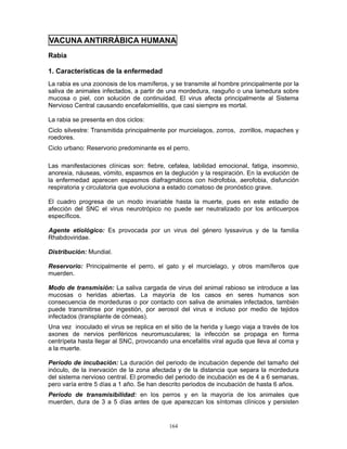 164
VACUNA ANTIRRÁBICA HUMANA
Rabia
1. Características de la enfermedad
La rabia es una zoonosis de los mamíferos, y se transmite al hombre principalmente por la
saliva de animales infectados, a partir de una mordedura, rasguño o una lamedura sobre
mucosa o piel, con solución de continuidad. El virus afecta principalmente al Sistema
Nervioso Central causando encefalomielitis, que casi siempre es mortal.
La rabia se presenta en dos ciclos:
Ciclo silvestre: Transmitida principalmente por murcielagos, zorros, zorrillos, mapaches y
roedores.
Ciclo urbano: Reservorio predominante es el perro.
Las manifestaciones clínicas son: fiebre, cefalea, labilidad emocional, fatiga, insomnio,
anorexia, náuseas, vómito, espasmos en la deglución y la respiración. En la evolución de
la enfermedad aparecen espasmos diafragmáticos con hidrofobia, aerofobia, disfunción
respiratoria y circulatoria que evoluciona a estado comatoso de pronóstico grave.
El cuadro progresa de un modo invariable hasta la muerte, pues en este estadio de
afección del SNC el virus neurotrópico no puede ser neutralizado por los anticuerpos
específicos.
Agente etiológico: Es provocada por un virus del género lyssavirus y de la familia
Rhabdoviridae.
Distribución: Mundial.
Reservorio: Principalmente el perro, el gato y el murcielago, y otros mamíferos que
muerden.
Modo de transmisión: La saliva cargada de virus del animal rabioso se introduce a las
mucosas o heridas abiertas. La mayoría de los casos en seres humanos son
consecuencia de mordeduras o por contacto con saliva de animales infectados, también
puede transmitirse por ingestión, por aerosol del virus e incluso por medio de tejidos
infectados (transplante de córneas).
Una vez inoculado el virus se replica en el sitio de la herida y luego viaja a través de los
axones de nervios periféricos neuromusculares; la infección se propaga en forma
centrípeta hasta llegar al SNC, provocando una encefalitis viral aguda que lleva al coma y
a la muerte.
Período de incubación: La duración del periodo de incubación depende del tamaño del
inóculo, de la inervación de la zona afectada y de la distancia que separa la mordedura
del sistema nervioso central. El promedio del periodo de incubación es de 4 a 6 semanas,
pero varía entre 5 días a 1 año. Se han descrito periodos de incubación de hasta 6 años.
Período de transmisibilidad: en los perros y en la mayoría de los animales que
muerden, dura de 3 a 5 días antes de que aparezcan los síntomas clínicos y persisten
 