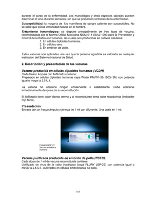 165
durante el curso de la enfermedad. Los murciélagos y otras especies salvajes pueden
diseminar el virus durante semanas, sin que se presenten síntomas de la enfermedad.
Susceptibilidad: la mayoría de los mamíferos de sangre caliente son susceptibles. No
se sabe que exista inmunidad natural en el hombre.
Tratamiento inmunológico: se dispone principalmente de tres tipos de vacuna,
recomendadas por la Norma Oficial Mexicana NOM-011-SSA2-1993 para la Prevención y
Control de la Rabia en Humanos, las cuales son producidas en cultivos celulares:
1. En células diploides humanas.
2. En células vero.
3. En embrión de pollo.
Estas vacunas son aplicadas una vez que la persona agredida es valorada en cualquier
institución del Sistema Nacional de Salud.
2. Descripción y presentación de las vacunas
Vacuna producida en células diploides humanas (VCDH)
Cada frasco ámpula con liofilizado contiene:
Preparado en células diploides humanas cepa Wistar PM/W1-38-1503- 3M, con potencia
igual o mayor a 2.5 U.I.
La vacuna no contiene ningún conservante o estabilizante. Debe aplicarse
inmediatamente después de su reconstitución.
El liofilizado tiene color blanco crema y al reconstituirse toma color rosado/rojo (indicador
rojo fenol).
Presentación
Envase con un frasco ámpula y jeringa de 1 ml con diluyente. Una dosis en 1 ml.
Vacuna purificada producida en embrión de pollo (PCEC).
Cada dosis de 1 ml de vacuna reconstituida contiene:
Liofilizado de virus de la rabia inactivado (cepa FLURY LEP-25) con potencia igual o
mayor a 2.5 U.I., cultivados en células embrionarias de pollo.
Fotografía N° 31
Vacuna antirábica
humana
 