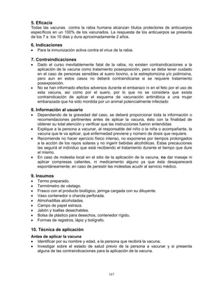 167
5. Eficacia
Todas las vacunas contra la rabia humana alcanzan títulos protectores de anticuerpos
específicos en un 100% de los vacunados. La respuesta de los anticuerpos se presenta
de los 7 a los 10 dias y dura aproximadamente 2 años.
6. Indicaciones
• Para la inmunización activa contra el virus de la rabia.
7. Contraindicaciones
• Dado el curso inevitablemente fatal de la rabia, no existen contraindicaciones a la
aplicación de la vacuna como tratamiento posexposición, pero se debe tener cuidado
en el caso de personas sensibles al suero bovino, a la estreptomicina y/o polimixina,
pero aun en estos casos no deberá contraindicarse si se requiere tratamiento
posexposición.
• No se han informado efectos adversos durante el embarazo ni en el feto por el uso de
esta vacuna, así como por el suero, por lo que no se considera que exista
contraindicación de aplicar el esquema de vacunación antirrábica a una mujer
embarazada que ha sido mordida por un animal potencialmente infectado
8. Información al usuario
• Dependiendo de la gravedad del caso, se deberá proporcionar toda la información o
recomendaciones pertinentes antes de aplicar la vacuna, ésto con la finalidad de
obtener su total atención y verificar que las instrucciones fueron entendidas
• Explique a la persona a vacunar, al responsable del niño o la niña o acompañante, la
vacuna que le va aplicar, qué enfermedad previene y número de dosis que requiere.
• Recomiende no hacer ejercicio físico intenso, no exponerse por tiempos prolongados
a la acción de los rayos solares y no ingerir bebidas alcohólicas. Estas precauciones
las seguirá el individuo que está recibiendo el tratamiento durante el tiempo que dure
el mismo.
• En caso de molestia local en el sitio de la aplicación de la vacuna, no dar masaje ni
aplicar compresas calientes, ni medicamento alguno ya que ésta desaparecerá
espontáneamente; en caso de persistir las molestias acudir al servicio médico.
9. Insumos
• Termo preparado.
• Termómetro de vástago.
• Frasco con el producto biológico, jeringa cargada con su diluyente.
• Vaso contenedor o charola perforada.
• Almohadillas alcoholadas.
• Campo de papel estraza.
• Jabón y toallas desechables.
• Bolsa de plástico para desechos, contenedor rígido.
• Formas de registros, lápiz y bolígrafo.
10. Técnica de aplicación
Antes de aplicar la vacuna
• Identificar por su nombre y edad, a la persona que recibirá la vacuna.
• Investigar sobre el estado de salud previo de la persona a vacunar y si presenta
alguna de las contraindicaciones para la aplicación de la vacuna.
 