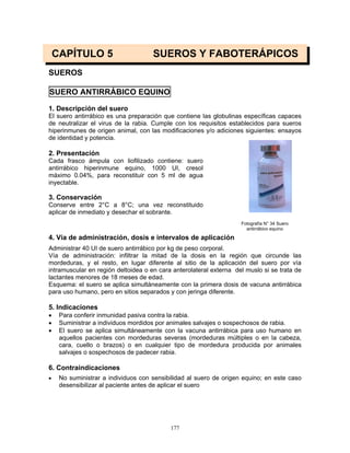 177
CAPÍTULO 5 SUEROS Y FABOTERÁPICOS
SUEROS
SUERO ANTIRRÁBICO EQUINO
1. Descripción del suero
El suero antirrábico es una preparación que contiene las globulinas específicas capaces
de neutralizar el virus de la rabia. Cumple con los requisitos establecidos para sueros
hiperinmunes de origen animal, con las modificaciones y/o adiciones siguientes: ensayos
de identidad y potencia.
2. Presentación
Cada frasco ámpula con liofilizado contiene: suero
antirrábico hiperinmune equino, 1000 UI, cresol
máximo 0.04%, para reconstituir con 5 ml de agua
inyectable.
3. Conservación
Conserve entre 2°C a 8°C; una vez reconstituido
aplicar de inmediato y desechar el sobrante.
4. Vía de administración, dosis e intervalos de aplicación
Administrar 40 UI de suero antirrábico por kg de peso corporal.
Vía de administración: infiltrar la mitad de la dosis en la región que circunde las
mordeduras, y el resto, en lugar diferente al sitio de la aplicación del suero por vía
intramuscular en región deltoidea o en cara anterolateral externa del muslo si se trata de
lactantes menores de 18 meses de edad.
Esquema: el suero se aplica simultáneamente con la primera dosis de vacuna antirrábica
para uso humano, pero en sitios separados y con jeringa diferente.
5. Indicaciones
• Para conferir inmunidad pasiva contra la rabia.
• Suministrar a individuos mordidos por animales salvajes o sospechosos de rabia.
• El suero se aplica simultáneamente con la vacuna antirrábica para uso humano en
aquellos pacientes con mordeduras severas (mordeduras múltiples o en la cabeza,
cara, cuello o brazos) o en cualquier tipo de mordedura producida por animales
salvajes o sospechosos de padecer rabia.
6. Contraindicaciones
• No suministrar a individuos con sensibilidad al suero de origen equino; en este caso
desensibilizar al paciente antes de aplicar el suero
Fotografía N° 34 Suero
antirrábico equino
 