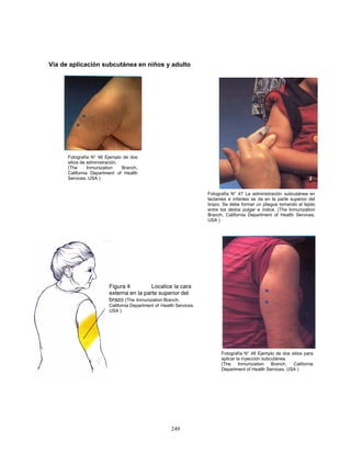249
Vía de aplicación subcutánea en niños y adulto
Fotografía N° 46 Ejemplo de dos
sitios de administración.
(The Inmunization Branch,
California Department of Health
Services. USA )
Fotografía N° 47 La administración subcutánea en
lactantes e infantes se da en la parte superior del
brazo. Se debe formar un pliegue tomando el tejido
entre los dedos pulgar e índice. (The Inmunization
Branch, California Department of Health Services.
USA )
Figura 4 Localice la cara
externa en la parte superior del
brazo (The Inmunization Branch,
California Department of Health Services.
USA )
Fotografía N° 48 Ejemplo de dos sitios para
aplicar la inyección subcutánea.
(The Inmunization Branch, California
Department of Health Services. USA )
 