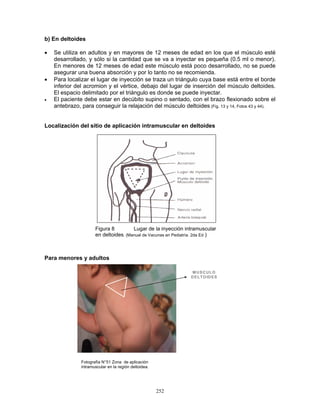 252
b) En deltoides
• Se utiliza en adultos y en mayores de 12 meses de edad en los que el músculo esté
desarrollado, y sólo si la cantidad que se va a inyectar es pequeña (0.5 ml o menor).
En menores de 12 meses de edad este músculo está poco desarrollado, no se puede
asegurar una buena absorción y por lo tanto no se recomienda.
• Para localizar el lugar de inyección se traza un triángulo cuya base está entre el borde
inferior del acromion y el vértice, debajo del lugar de inserción del músculo deltoides.
El espacio delimitado por el triángulo es donde se puede inyectar.
• El paciente debe estar en decúbito supino o sentado, con el brazo flexionado sobre el
antebrazo, para conseguir la relajación del músculo deltoides (Fig. 13 y 14, Fotos 43 y 44).
Localización del sitio de aplicación intramuscular en deltoides
Para menores y adultos
Figura 8 Lugar de la inyección intramuscular
en deltoides. (Manual de Vacunas en Pediatría. 2da Ed )
M USCULO
DELTOIDES
M USCULO
DELTOIDES
Fotografía N°51 Zona de aplicación
intramuscular en la región deltoidea.
 