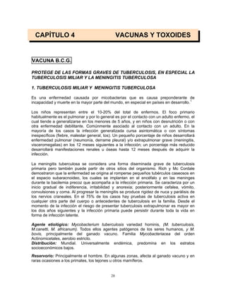 28
CAPÍTULO 4 VACUNAS Y TOXOIDES
VACUNA B.C.G.
PROTEGE DE LAS FORMAS GRAVES DE TUBERCULOSIS, EN ESPECIAL LA
TUBERCULOSIS MILIAR Y LA MENINGITIS TUBERCULOSA
1. TUBERCULOSIS MILIAR Y MENINGITIS TUBERCULOSA
Es una enfermedad causada por micobacterias que es causa preponderante de
incapacidad y muerte en la mayor parte del mundo, en especial en países en desarrollo.1
Los niños representan entre el 10-20% del total de enfermos. El foco primario
habitualmente es el pulmonar y por lo general es por el contacto con un adulto enfermo, el
cual tiende a generalizarse en los menores de 5 años, y en niños con desnutrición o con
otra enfermedad debilitante. Comúnmente asociado al contacto con un adulto. En la
mayoría de los casos la infección generalizada cursa asintomática o con síntomas
inespecíficos (fiebre, malestar general, tos). Un pequeño porcentaje de niños desarrollará
enfermedad pulmonar (neumonía, derrame pleural) y/o extrapulmonar grave (meningitis,
visceromegalias) en los 12 meses siguientes a la infección; un porcentaje más reducido
desarrollará manifestaciones renales u óseas hasta 12 meses después de adquirir la
infección.
La meningitis tuberculosa se considera una forma diseminada grave de tuberculosis
primaria pero también puede partir de otros sitios del organismo. Rich y Mc Cordale
demostraron que la enfermedad se origina al romperse pequeños tubérculos caseosos en
el espacio subaracnoideo, los cuales se implantan en el encéfalo y en las meninges
durante la bacilemia precoz que acompaña a la infección primaria. Se caracteriza por un
inicio gradual de indiferencia, irritabilidad y anorexia; posteriormente cefalea, vómito,
convulsiones y coma. Al progresar la meningitis se produce rigidez de nuca y parálisis de
los nervios craneales. En el 75% de los casos hay pruebas de tuberculosis activa en
cualquier otra parte del cuerpo o antecedentes de tuberculosis en la familia. Desde el
momento de la infección el riesgo de presentar tuberculosis extrapulmonar es mayor en
los dos años siguientes y la infección primaria puede persistir durante toda la vida en
forma de infección latente.
Agente etiológico: Mycobacterium tuberculosis variedad hominis, (M. tuberculosis,
M.canetti, M. africanum). Todos ellos agentes patógenos de los seres humanos, y M.
bovis, principalmente del ganado vacuno. Familia Mycobacteriacea del orden
Actinomicetales, aerobio estricto.
Distribución: Mundial. Universalmente endémica, predomina en los estratos
socioeconómicos bajos.
Reservorio: Principalmente el hombre. En algunas zonas, afecta al ganado vacuno y en
raras ocasiones a los primates, los tejones u otros mamíferos.
 
