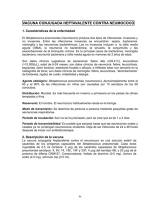 46
VACUNA CONJUGADA HEPTAVALENTE CONTRA NEUMOCOCO
1. Características de la enfermedad
El Streptococcus pneumoniae (neumococo) produce dos tipos de infecciones: invasoras y
no invasoras. Entre las infecciones invasoras se encuentran: sepsis, bacteremia,
meningitis y las neumonías bacteriémicas. Las no invasoras incluyen a la otitis media
aguda (OMA), la neumonía no bacteriémica, la sinusitis, la conjuntivitis y las
exacerbaciones de la bronquitis crónica. Es la principal causa de bacteremia, meningitis
bacteriana, neumonía bacteriana y otitis media aguda en menores de 2 años de edad.
Son datos clínicos sugestivos de bacteremia: fiebre alta (≥39.4°C), leucocitosis
(>15,000/µL), edad de 6-24 meses; son datos clínicos de neumonía: fiebre, leucocitosis,
taquipnea, dolor torácico, estertores focales o difusos, e infiltrado lobar con derrame en la
radiografía de tórax; son datos clínicos de meningitis: fiebre, leucocitosis, “abombamiento”
de fontanela, rigidez de cuello, irritabilidad y letargia.
Agente etiológico: Streptococcus pneumoniae (neumococo). Aproximadamente entre el
85 y el 90% de las infecciones en niños son causadas por 10 serotipos de los 90
conocidos.
Distribución: Mundial. Es más frecuente en invierno y primavera en los países de climas
templados y fríos.
Reservorio: El hombre. El neumococo habitualmente reside en la faringe.
Modo de transmisión: Se disemina de persona a persona mediante pequeñas gotas de
secreciones respiratorias.
Período de incubación: Aún no se ha precisado, pero se cree que es de 1 a 3 días.
Período de transmisibilidad: Es posible que persista hasta que las secreciones orales y
nasales ya no contengan neumococos virulentos. Deja de ser infeccioso de 24 a 48 horas
después de iniciar con antibióticoterapia.
2. Descripción de la vacuna
La vacuna conjugada heptavalente contra el neumococo es una solución estéril de
sacáridos de los antígenos capsulares del Streptococcus pneumoniae. Cada dosis
inyectable de 0.5 ml contiene: 2 μcg de los sacáridos capsulares de Streptococcus
pneumoniae serotipos: 4, 9V, 14, 18C, 19F y 23F; 4 μcg del serotipo 6B; y 20 μcg de la
proteína de difteria CRM197. Conservadores: fosfato de aluminio (0.5 mg), cloruro de
sodio (4.5 mg), vehículo csp (0.5 ml).
 