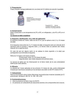 47
3. Presentación
Frasco ámpula o jeringa prellenada con una dosis de 0.5 mililitros de solución inyectable.
4. Conservación
Debe conservarse a una temperatura de 2ºC a 8ºC, en refrigerador, y de 4ºC a 8ºC en el
termo.
La vacuna no debe congelarse
5. Esquema, dosificación, vía y sitio de aplicación
El esquema consta de 3 dosis, cada una de 0.5 ml, que se aplican a los 2, 4 y 12 meses
de edad.
Sí el esquema inicia entre los 3 y 11 meses de edad, el esquema será con intervalo de 8
semanas entre la primera y segunda dosis, y la tercera dosis se aplicará seis meses
después de la segunda dosis.
En caso de que por alguna razón no se aplique la dosis siguiente a la edad que
corresponde no se reiniciará el esquema.
Niños de 12 meses a 23 meses (2 dosis):
Primera dosis: entre 12 y 23 meses de edad.
Segunda dosis: seis meses después de la primera dosis.
La vacuna se aplica por vía intramuscular en el tercio medio de la cara anterolateral
externa del muslo derecho.
6. Eficacia
La eficacia de 3 dosis aplicadas en los primeros 12 meses de vida, contra enfermedad
invasora por neumococo causada por los serotipos vacunales va del 87% hasta el 97%.
7. Indicaciones
Para la inmunización activa contra infecciones neumocóccocas invasivas causadas por S.
pneumoniae serotipos 4, 6B, 9V, 14, 18C, 19F y 23F.
8. Contraindicaciones
• Ante la presencia de fiebre mayor de 38.5ºC.
• En personas con antecedente de reacciones severas a los componentes de la vacuna.
Fotografía N°10 Vacuna
conjugada heptavalente contra el
neumococo, en jeringa prellenada.
Fotografía N°9
Vacuna conjugada heptavalente
contra el neumococo, en frasco
unidosis
 