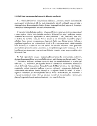 29
MANUAL DE VIGILÂNCIA DA LEISHMANIOSE TEGUMENTAR
2.11.3 Ciclo de transmissão da Leishmania (Viannia) braziliensis
A L. (...