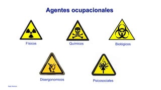 Anglo American
Agentes ocupacionales
Físicos Químicos Biológicos
Psicosociales
Disergonomicos
 