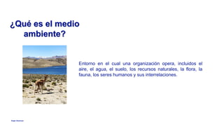 Anglo American
¿Qué es el medio
ambiente?
Entorno en el cual una organización opera, incluidos el
aire, el agua, el suelo, los recursos naturales, la flora, la
fauna, los seres humanos y sus interrelaciones.
 