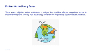 Anglo American
Protección de flora y fauna
Tiene como objetivo evitar, minimizar o mitigar los posibles efectos negativos sobre la
biodiversidad (flora, fauna y vida acuática) y optimizar los impactos y oportunidades positivas.
 