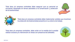 Anglo American
Toda área y/o empresa contratista debe implementar carteles que incentiven
la protección de biodiversidad presente en su entorno de trabajo.
Toda área y/o empresa contratista, debe evitar en la medida de lo posible
realizar accesos y/o intervención en áreas con presencia de bofedales.
Toda área y/o empresa contratista debe asegurar que su personal se
encuentre capacitado en temas asociados a la conservación y protección
de la biodiversidad.
 