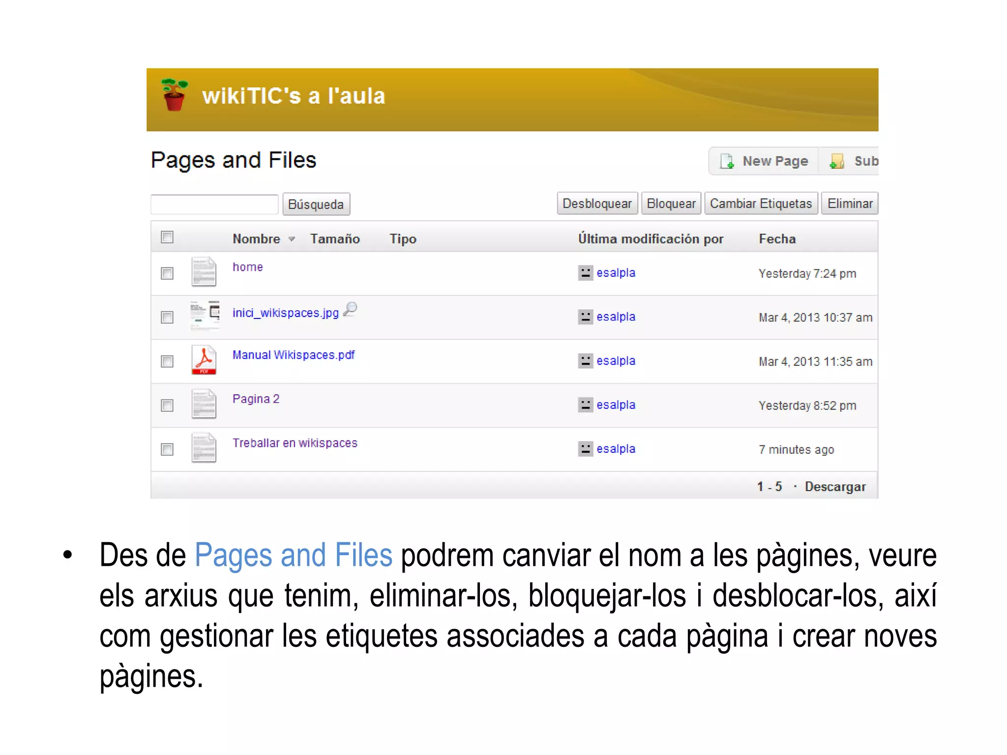 • Des de Pages and Files podrem canviar el nom a les pàgines, veure
els arxius que tenim, eliminar-los, bloquejar-los i desblocar-los, així
com gestionar les etiquetes associades a cada pàgina i crear noves
pàgines.
 