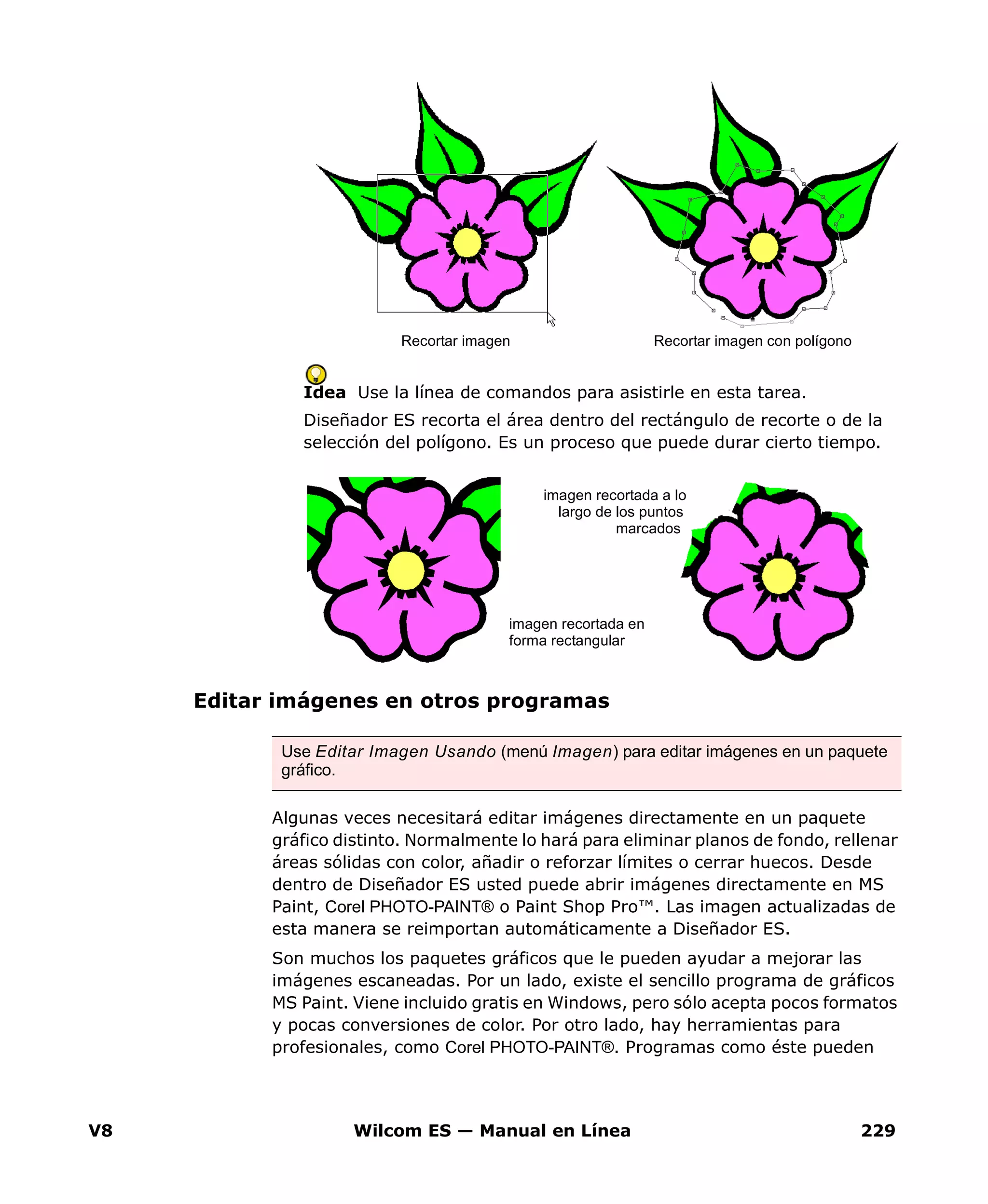 V8 Wilcom ES — Manual en Línea 229
Idea Use la línea de comandos para asistirle en esta tarea.
Diseñador ES recorta el área dentro del rectángulo de recorte o de la
selección del polígono. Es un proceso que puede durar cierto tiempo.
Editar imágenes en otros programas
Algunas veces necesitará editar imágenes directamente en un paquete
gráfico distinto. Normalmente lo hará para eliminar planos de fondo, rellenar
áreas sólidas con color, añadir o reforzar límites o cerrar huecos. Desde
dentro de Diseñador ES usted puede abrir imágenes directamente en MS
Paint, Corel PHOTO-PAINT® o Paint Shop Pro™. Las imagen actualizadas de
esta manera se reimportan automáticamente a Diseñador ES.
Son muchos los paquetes gráficos que le pueden ayudar a mejorar las
imágenes escaneadas. Por un lado, existe el sencillo programa de gráficos
MS Paint. Viene incluido gratis en Windows, pero sólo acepta pocos formatos
y pocas conversiones de color. Por otro lado, hay herramientas para
profesionales, como Corel PHOTO-PAINT®. Programas como éste pueden
Recortar imagen Recortar imagen con polígono
Use Editar Imagen Usando (menú Imagen) para editar imágenes en un paquete
gráfico.
imagen recortada en
forma rectangular
imagen recortada a lo
largo de los puntos
marcados
 